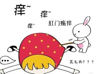 肛门瘙痒的“幕后黑手”是什么
